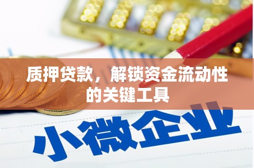 武城质押贷款，解锁资金流动性的关键工具