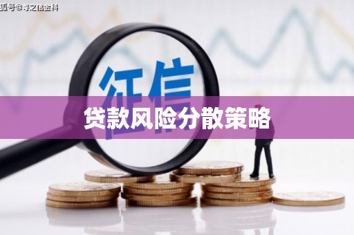 武城贷款风险分散策略