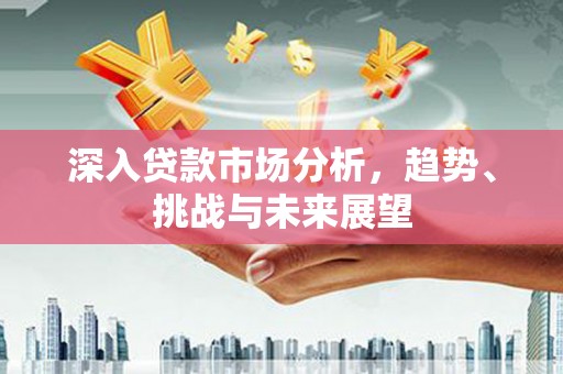 武城深入贷款市场分析，趋势、挑战与未来展望