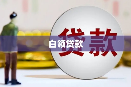 武城白领贷款