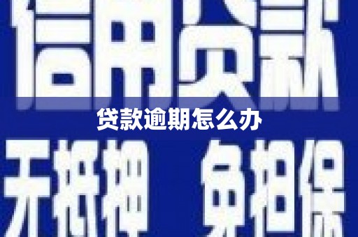武城贷款逾期怎么办