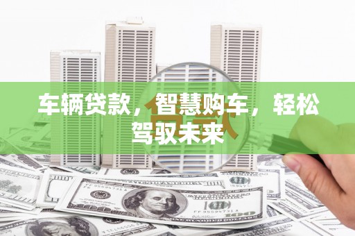 武城车辆贷款，智慧购车，轻松驾驭未来
