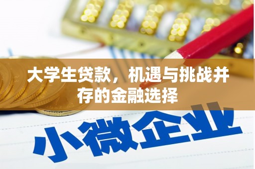 武城大学生贷款，机遇与挑战并存的金融选择