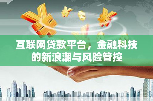 武城互联网贷款平台，金融科技的新浪潮与风险管控