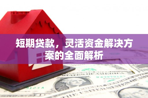 武城短期贷款，灵活资金解决方案的全面解析