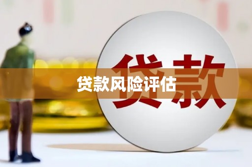 武城贷款风险评估
