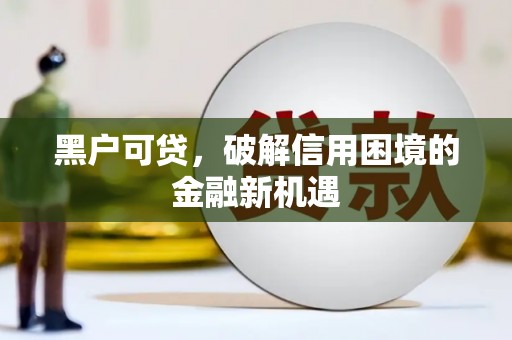 武城黑户可贷，破解信用困境的金融新机遇