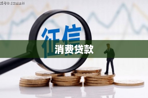 武城消费贷款