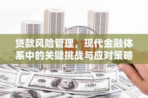 武城贷款风险管理，现代金融体系中的关键挑战与应对策略