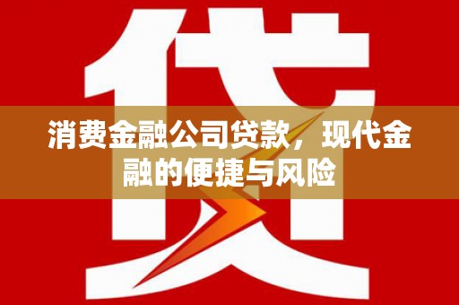 武城消费金融公司贷款，现代金融的便捷与风险