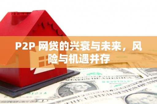 武城P2P 网贷的兴衰与未来，风险与机遇并存